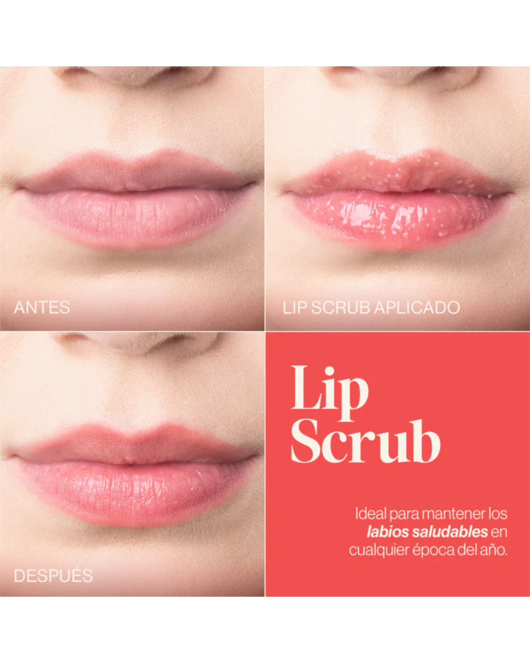 Exfoliante Para Labios | Lip Scrub Atenea