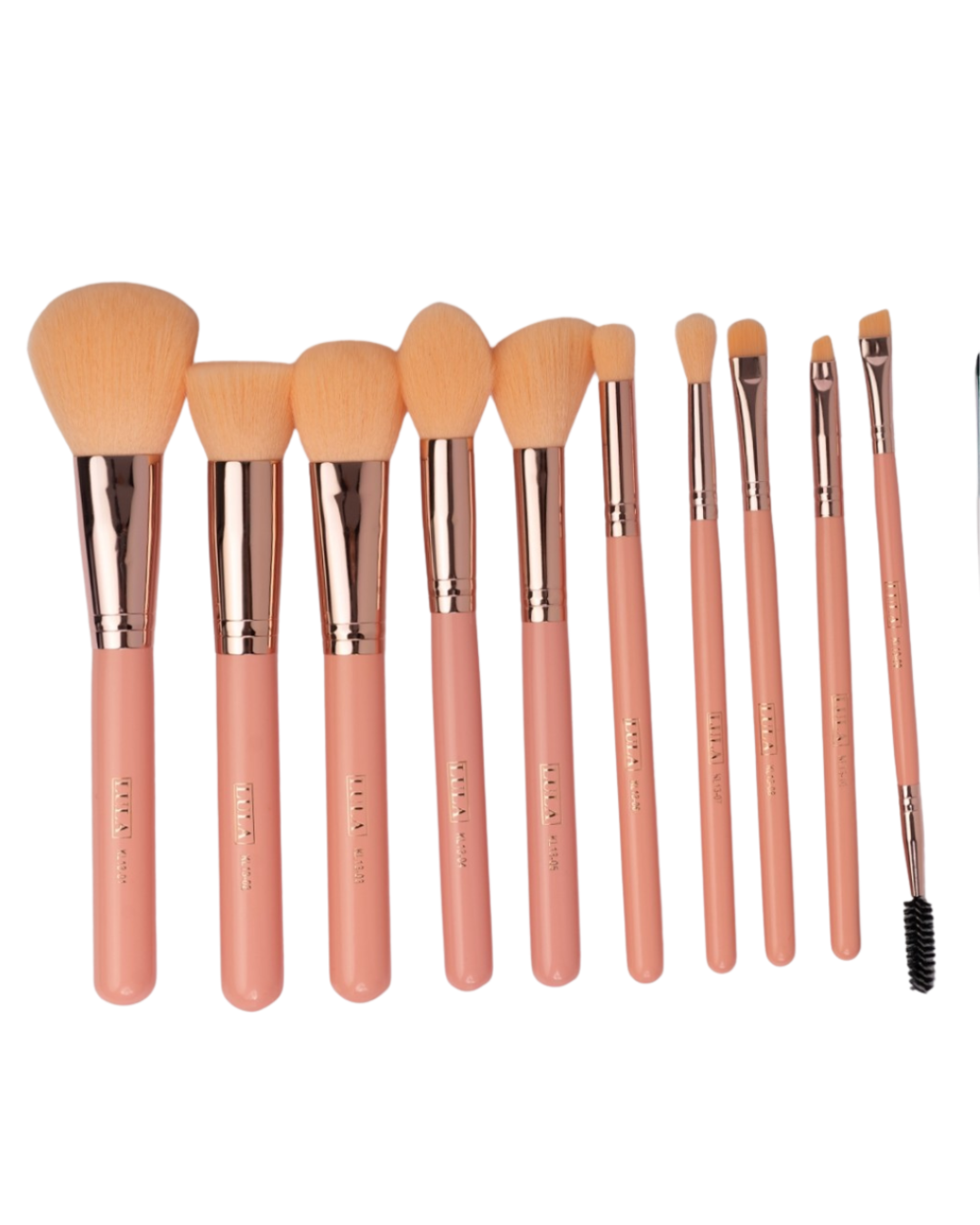 kit de brochas mandarine lula x10 kl13