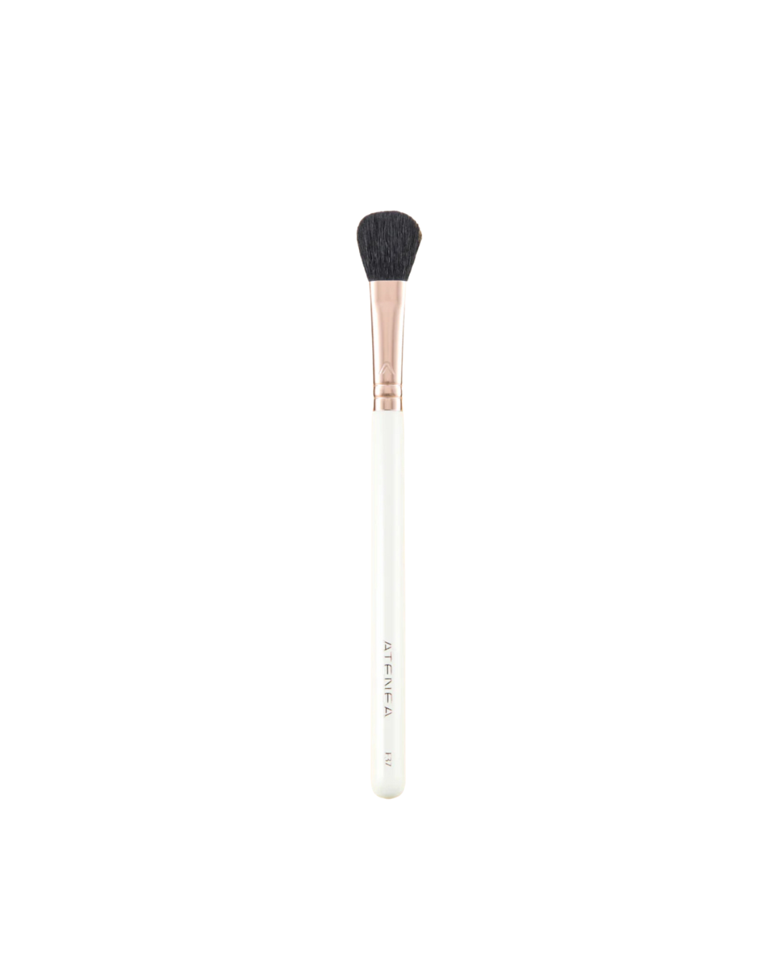 Brocha Difuminadora / Iluminador F37 Atenea
