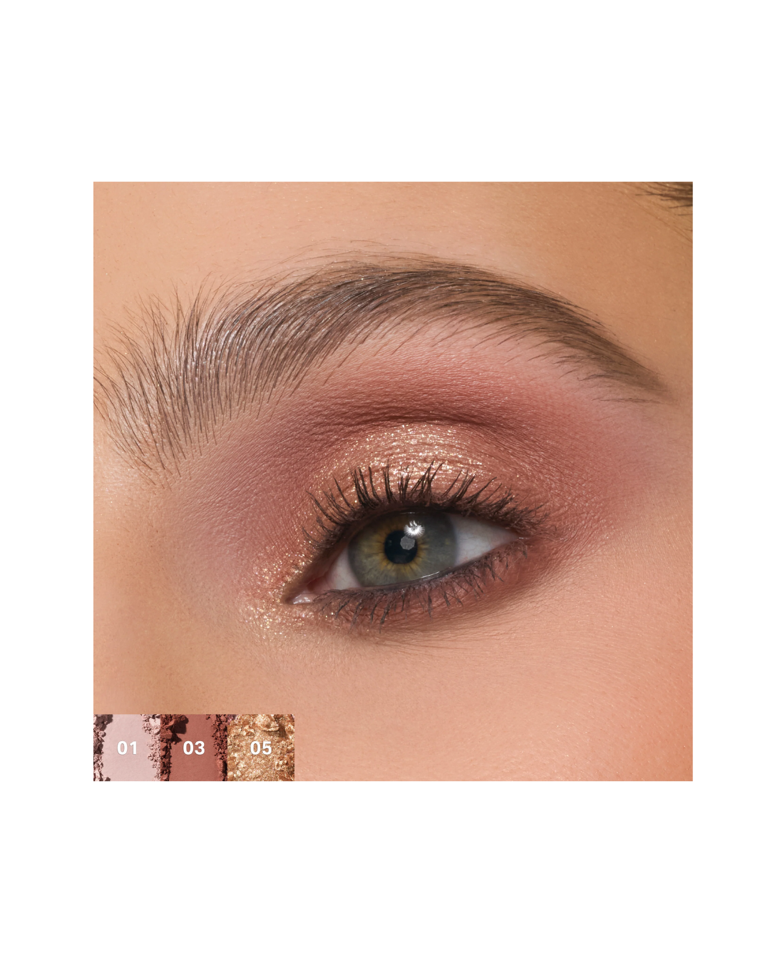 ChromaPlus 6-Pan Eyeshadow Palette