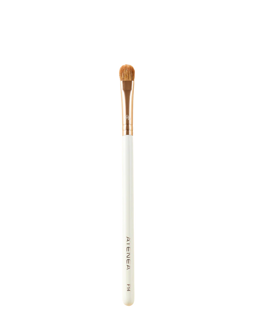 Brocha F14 – Atenea