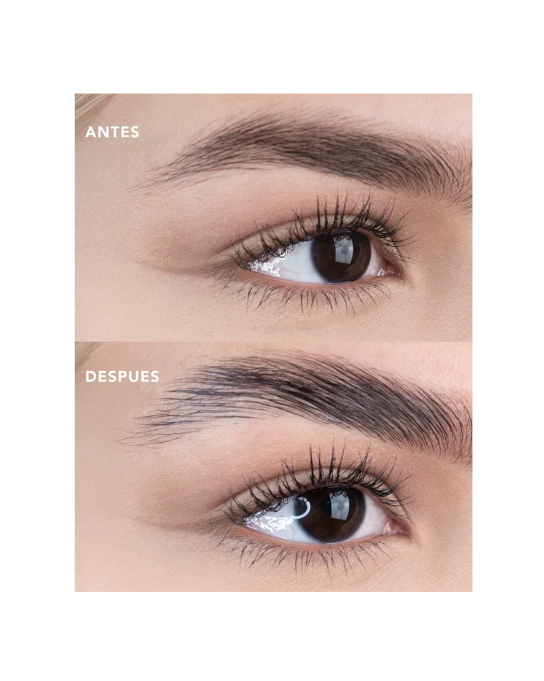 Gel Fijador De Cejas Brow Rise Ruby Rose